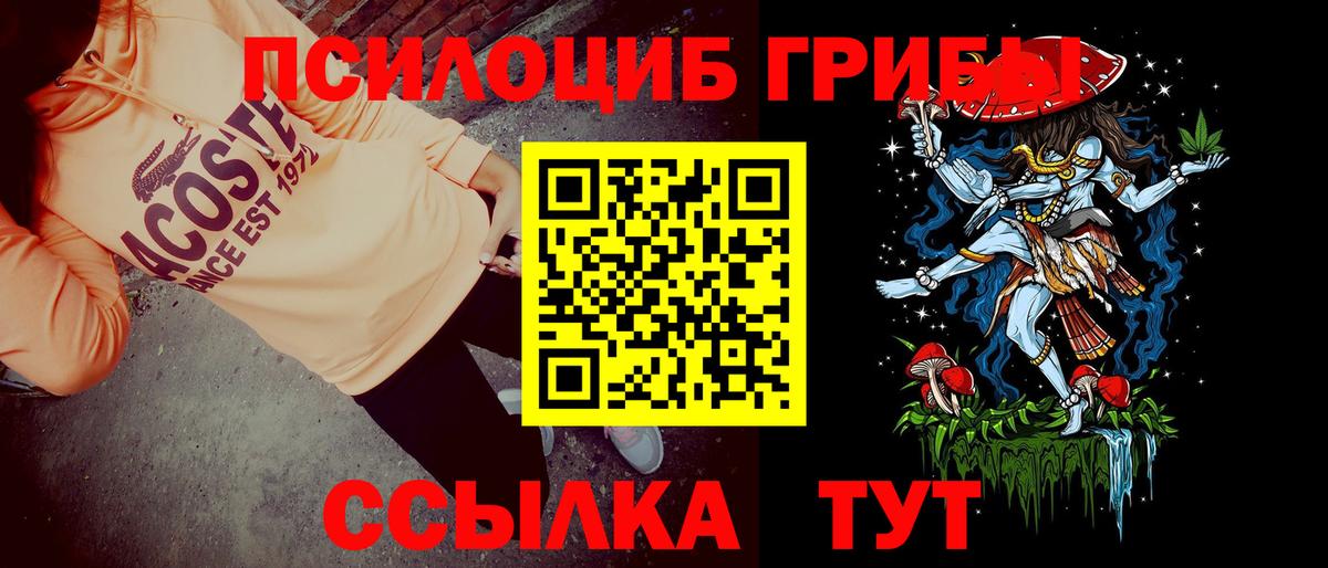 Псилоцибиновые грибы мицелий  наркота  Прокопьевск  Вход с VPN 
